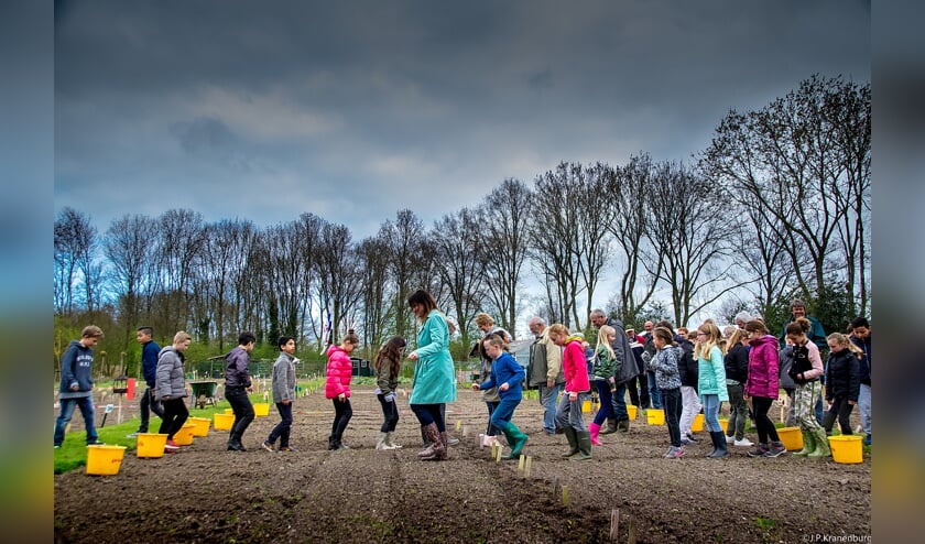 In een lange stoet werden de paadjes platgetrapt. | Foto: J.P. Kranenburg