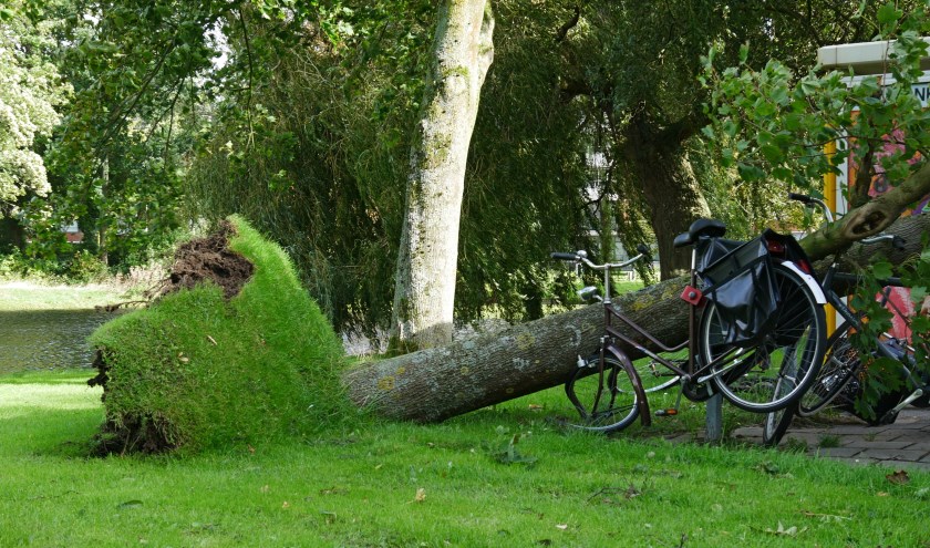 Daar fiets je niet meer mee weg... | Foto: Caecil van Harteveld
