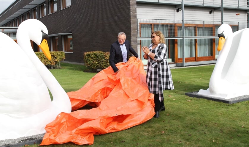 <p>Foto van de oude Hobaho-zwanen die in 2018 weer bij het bedrijf terug kwamen.</p>