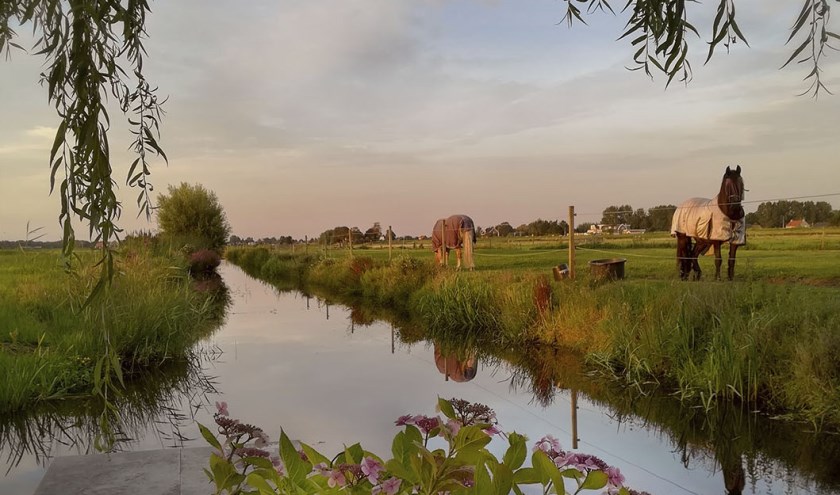 Ook in 2017 waren mooie plekjes te zien. Foto: Corine Zijerveld / SVvOH