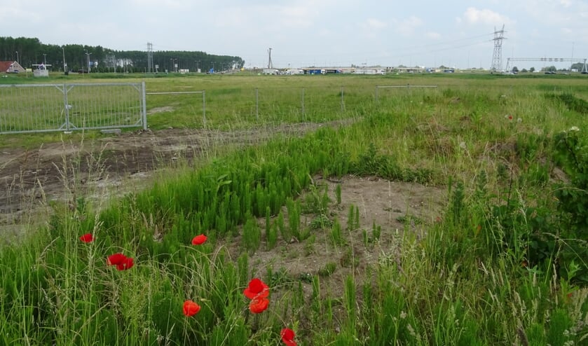 <p>Het beoogde Ikea terrein ligt al braak sinds 2013. | Archieffoto</p>