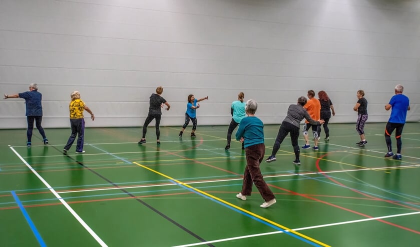 De Zumbales in sporthal De Bloemerd. | Foto: J.P. Kranenburg
