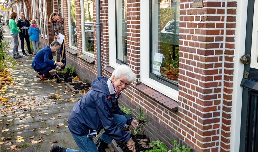 In de Hoofdstraat werd zaterdag hard gewerkt aan het beplanten van de geveltuintjes. Wethouder Joosten (op de achtergrond) hielp ook een handje mee.