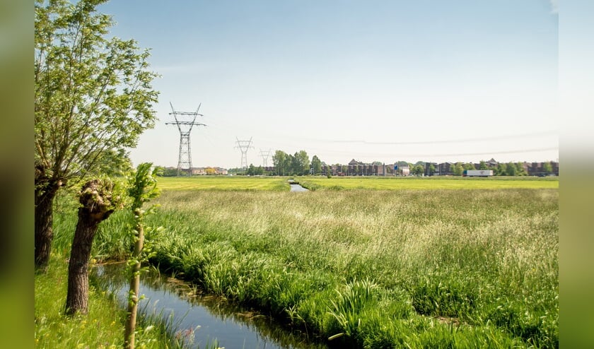 De Boterhuispolder half mei 2018, gezien vanaf de Nieuweweg. Op de voorgrond staat het gras hoog, op de achtergrond is gemaaid.
