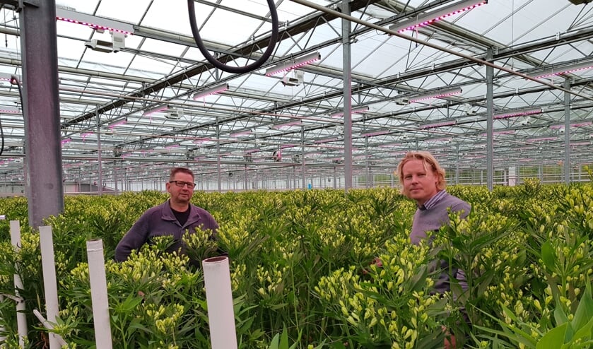 André Hoogenboom en Dirk van Vuurde tussen de White Pearls.