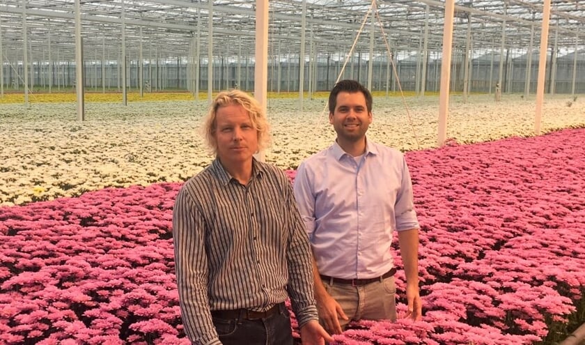 De heren middenin de chrysanten.