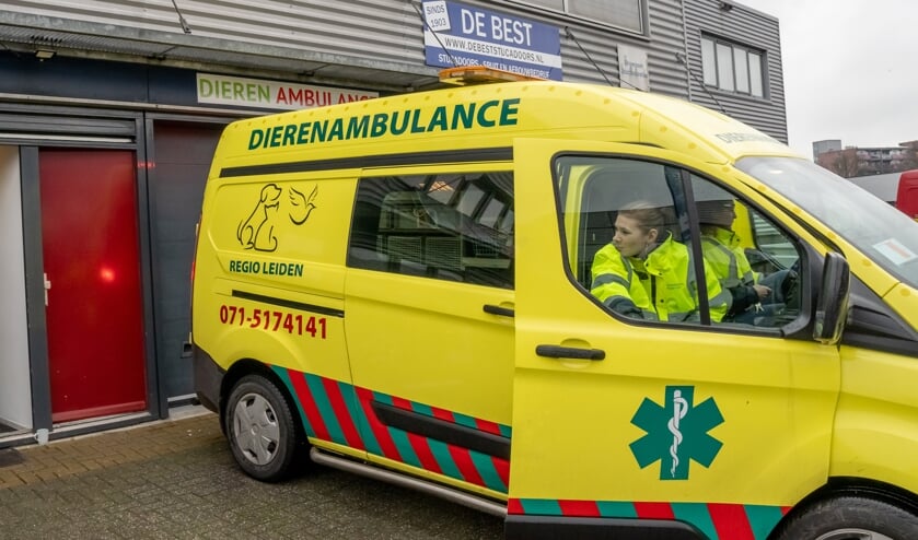 <p>De Dierenambulance, gevestigd aan de Draadbaan 14 in Leiderdorp, is bewust niet aangesloten bij Dierenlot en krijgt ook geen cent van de landelijke stichting. </p>