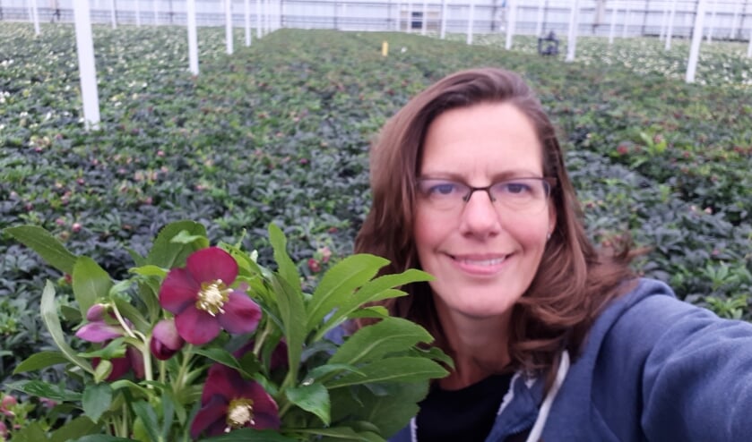 <p>Monique Juist veredelaar bij Syngenta Flowers.</p>