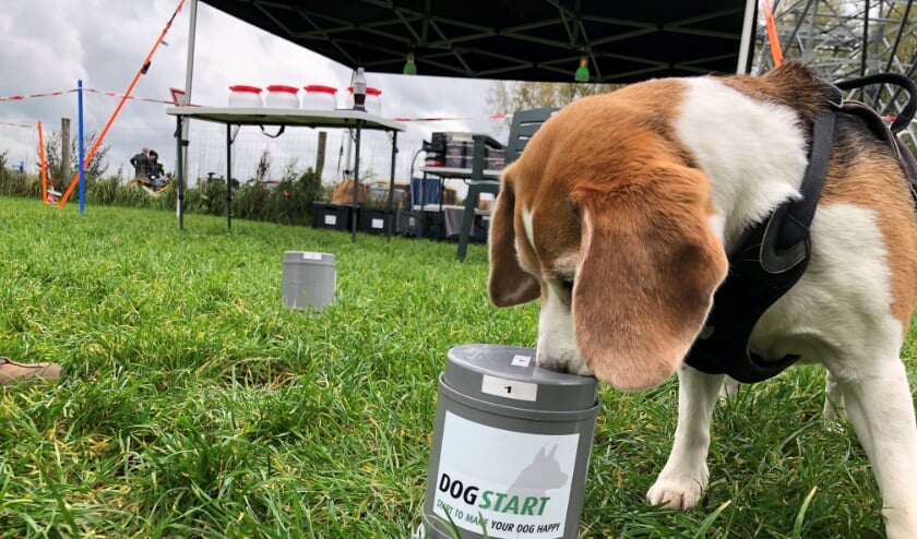 <p>Het reukvermogen van een hond is duizend keer groter dan dat van een mens. </p>