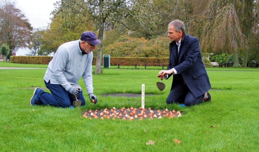 Ambassadeur Pete Hoekstra en Keukenhof-directeur Bart Siemerink planten American Dream-tulpenbollen.