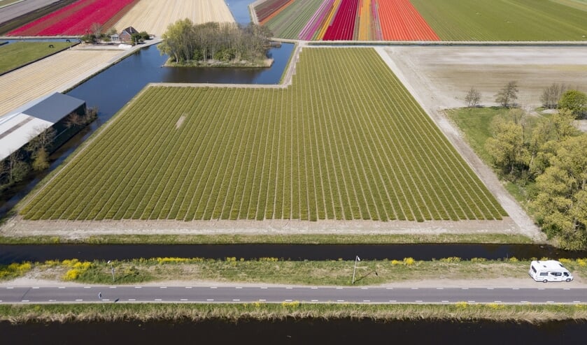 De Space in Between moet vrij en open blijven, vindt de EBDB.