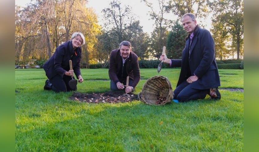 De End Polio Now-tulp is komend voorjaar te bewonderen in Keukenhof.