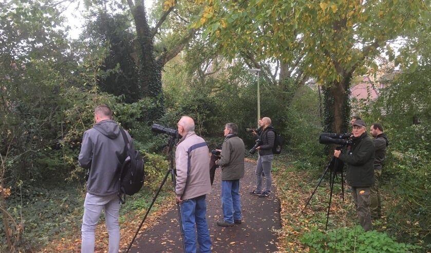 <p>Megagrote camera's om een piepklein vogeltje te fotograferen. </p>