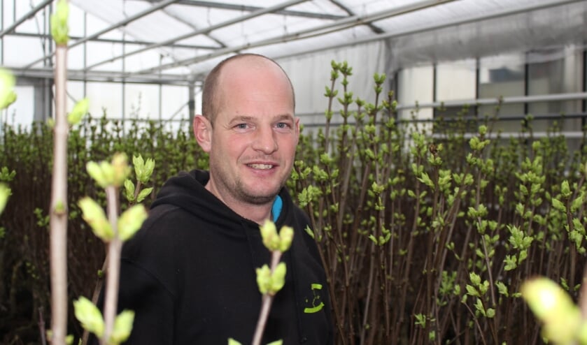 <p>Frank Weening, kweker van seringen en prunus.</p>