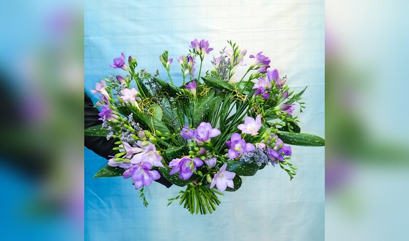 Een fraaie paarse freesia.