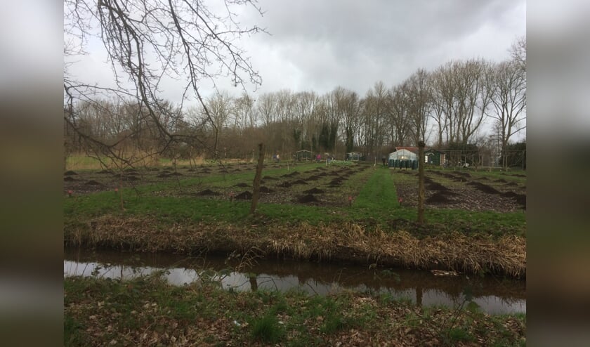 Woensdag 12 februari is tien kubieke meter compost op het complex gestort en daarna gelijkmatig over de grondvakken verdeeld.