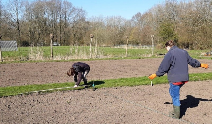 Vrijwilligers trappen paadjes voor een paar tuintjes op het schooltuinencomplex. | Foto: PR