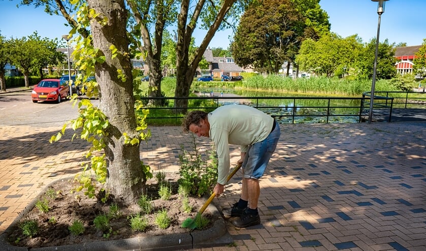 Clemens van Winden graaft plantjes in bij een boomspiegel op het plein voor 't Buurthuis.