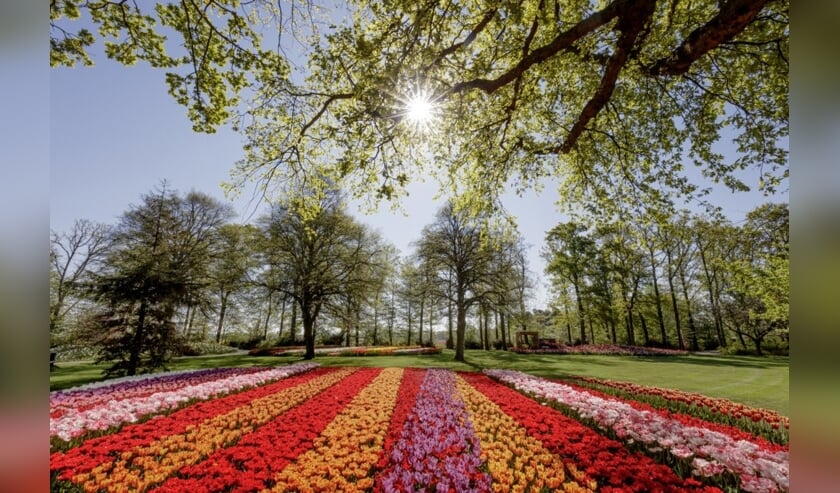 <p>Keukenhof zonder bezoekers, begin mei dit jaar. | Foto: Keukenhof.</p>