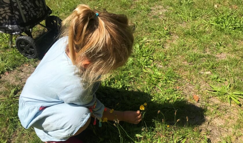 In de natuurchallenge gingen de kinderen bijvoorbeeld op zoek naar iets wat lekker ruikt.