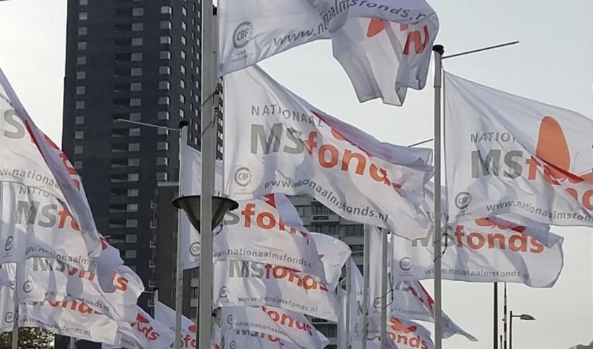 <p>Door corona hebben veel activiteiten rond het MS Fonds stilgelegen, maar MS zelf staat niet stil.</p>