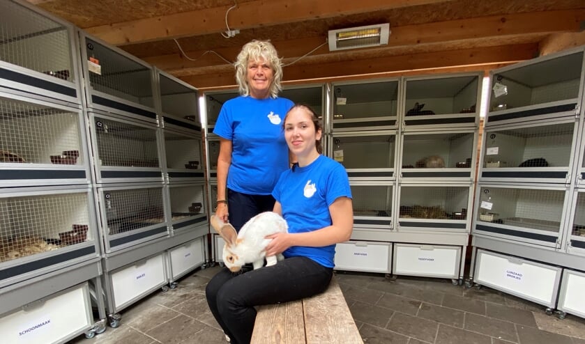 In de opvang zitten de konijnen maximaal 3 weken alleen. | Foto: Caroline Spaans