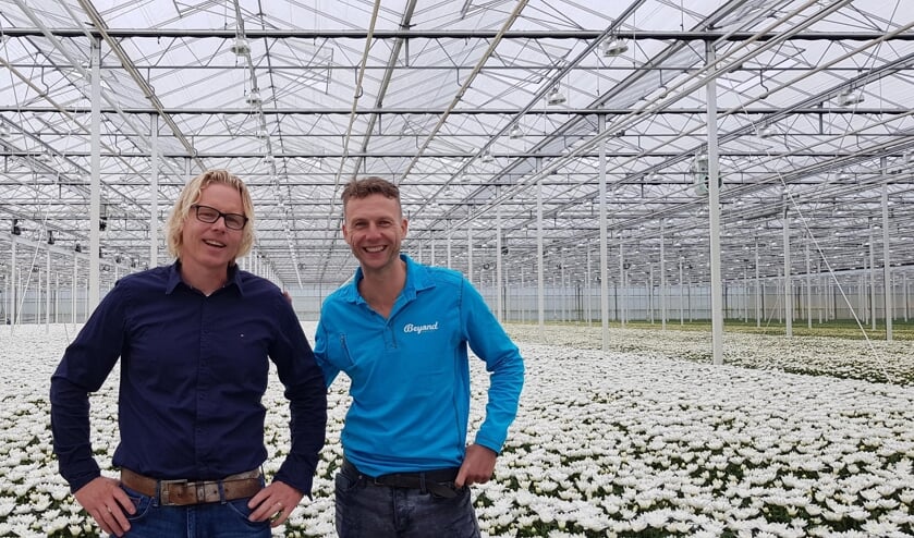 Links Dirk van Vuurde, Royal FloraHolland productmanager Chrysant en Alstroemeria.