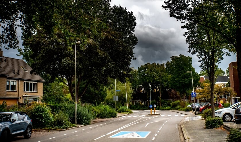 <p>De Voorhoflaan wordt niet 'geknipt' maar krijgt wel een zodanige inrichting dat de snelheid uit het verkeer wordt gehaald. De fietspaden worden opgewaardeerd tot doorfietspaden. </p>