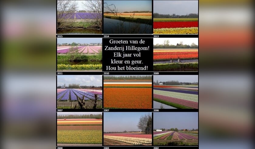 <p>De Zanderij.</p>