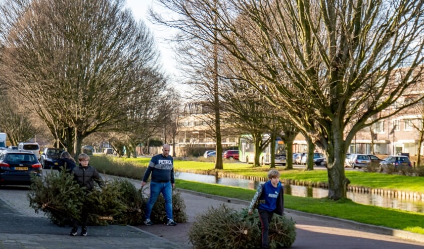 <p>Overal in het dorp werden kerstbomen naar de inleverplekken gesleept.</p>