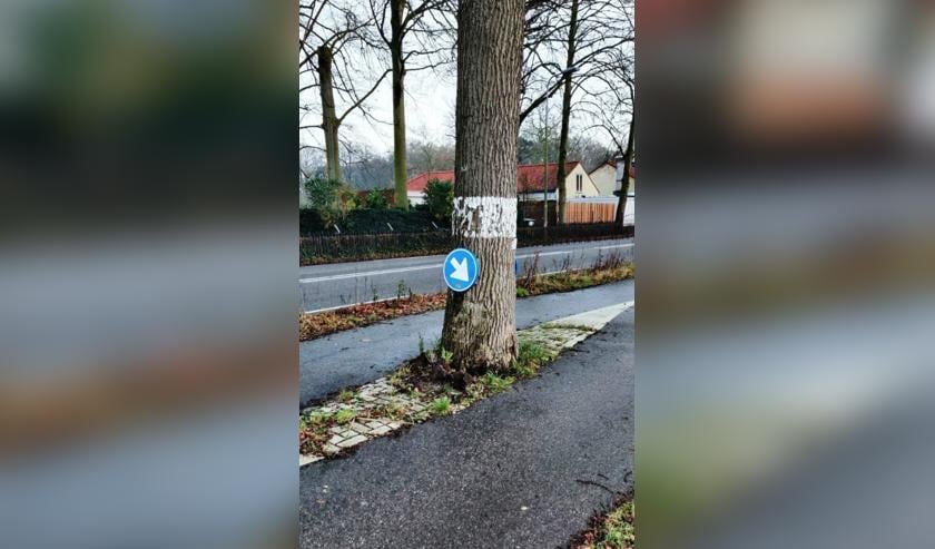 <p>Na maandag is deze situatie niet meer te vinden op de Stationsweg in Lisse.</p>