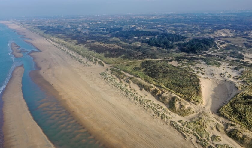 Kustlijn bij Berkheide, met op de voorgrond de embryonale duinen.