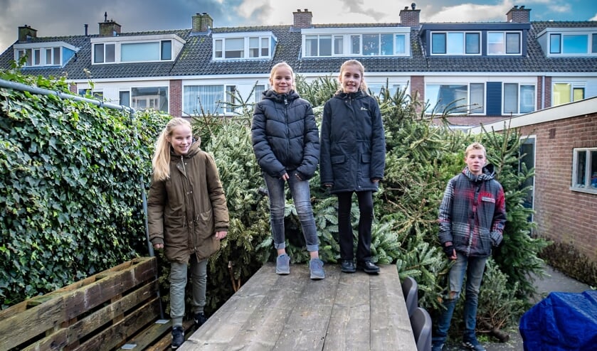 <p>V.l.n.r. Femke, Tessa, Fleur en Jelle met achter hen de berg kerstbomen die ze hebben ingezameld. | Foto: J.P. Kranenburg</p>