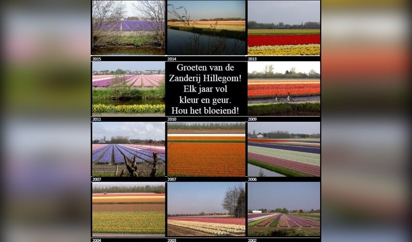 <p>Fotobijschrift: De Zanderij. | Foto: Facebook, Behoud Zanderijen Hillegom.</p>