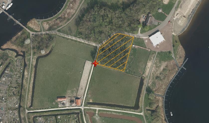 Duurzaam boombeheer op Koudenhoorn