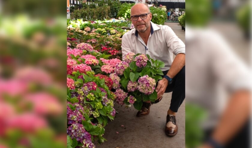 <p>Michel Verbeek, Royal FloraHolland productmanager </p>