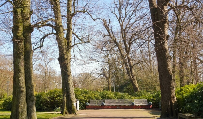 <p>De hoofdentree van Park Rusthoff aan de Hoofdstraat met de zogenaamde rode loper. | Foto: pr.</p>