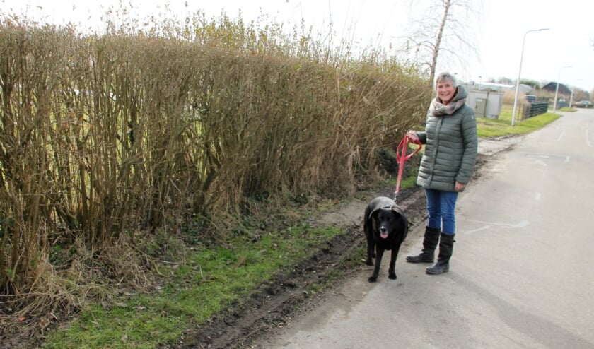 Honden uitlaten betekend aan de riem met opruimplicht.