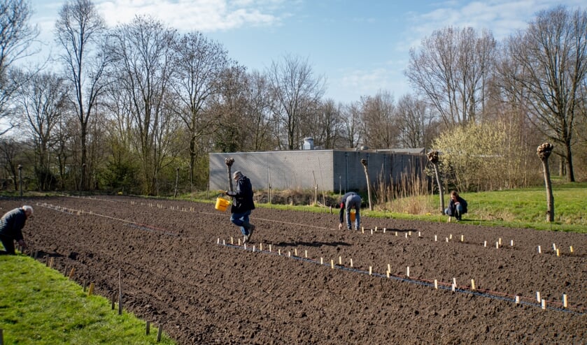 Vrijwilligers markeren met stokjes de grenzen van de schooltuintjes.