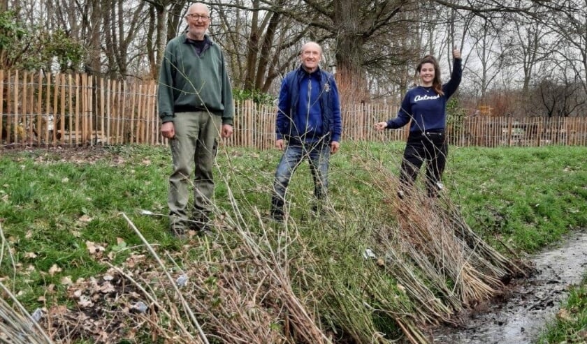 <p>Marga Witteman van Meer Bomen Nu met enkele vrijwilligers. | Foto: PR</p>