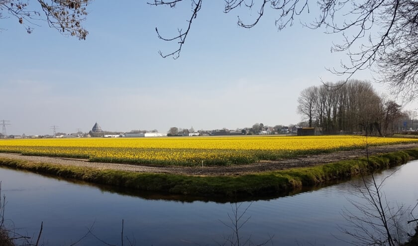 De Krogt bij Sassenheim waar het bedrijfsleven een industrieterrein in gedachten heeft.