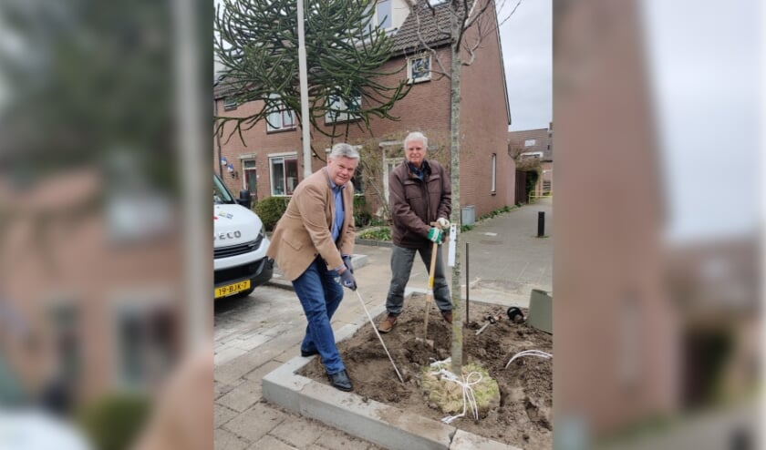 Wethouder Kees van der Zwet en bewoner de heer van Dijk planten een boom in de Voerman.
