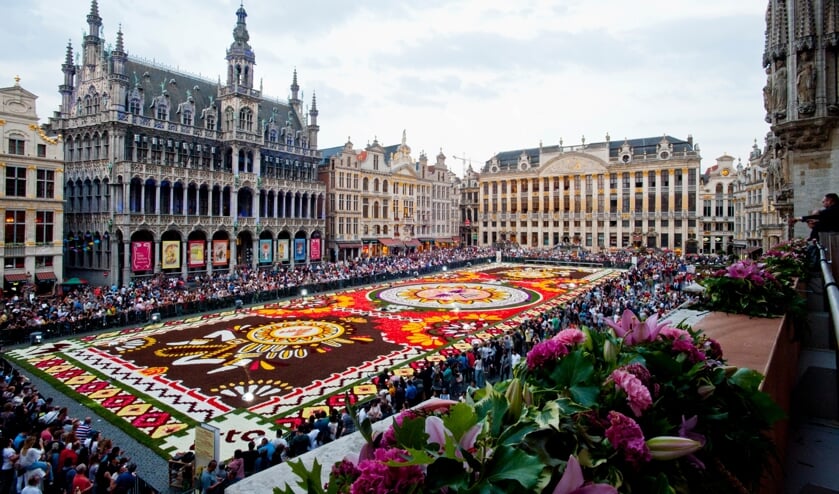 <p>Brussels Bloemtapijt (foto: Erik de Mol)</p><p><br></p>