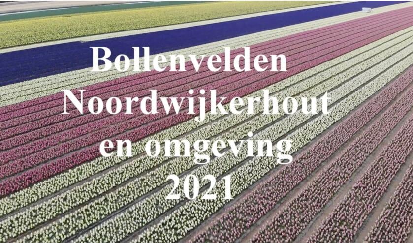 Bekijk de video van de bollenvelden.