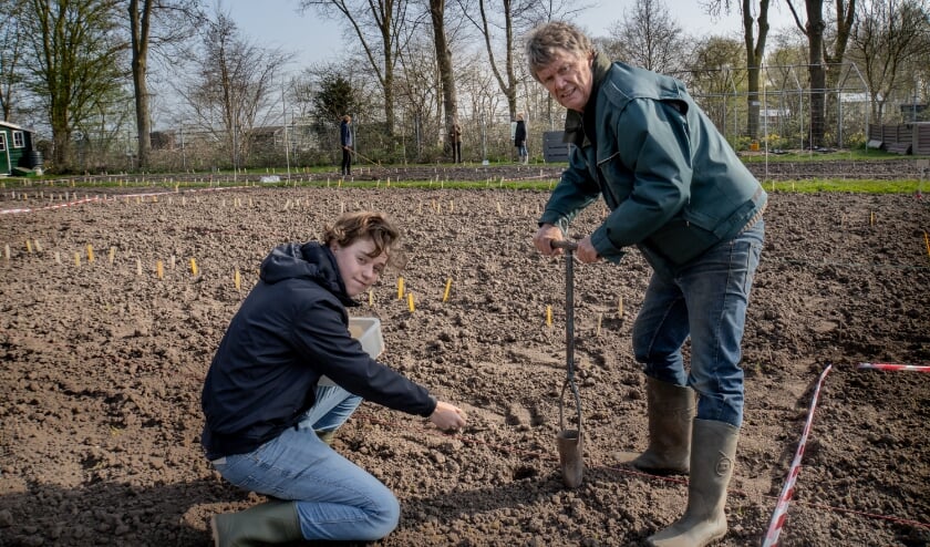 <p>Elke aardappel krijgt zijn eigen gat in de grond.</p>