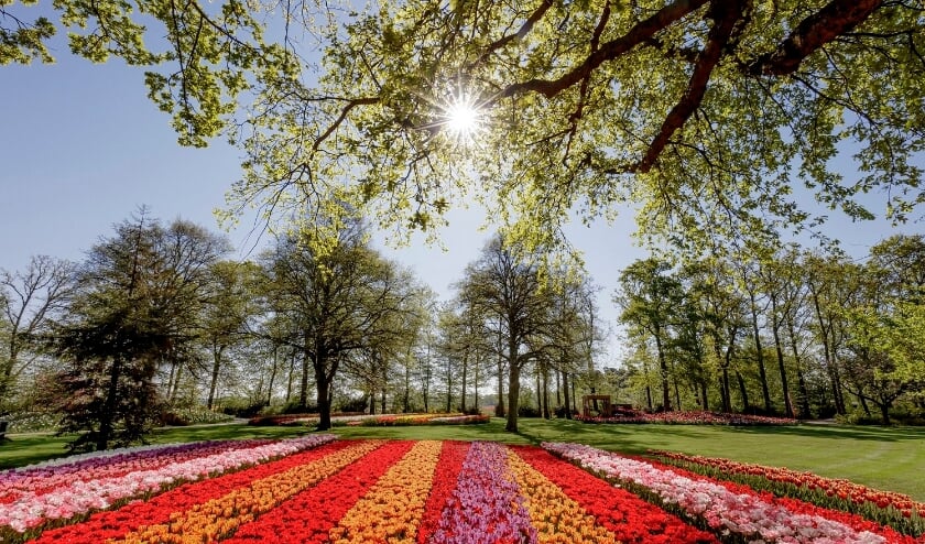Genieten in Keukenhof mag onder meer komend weekend.