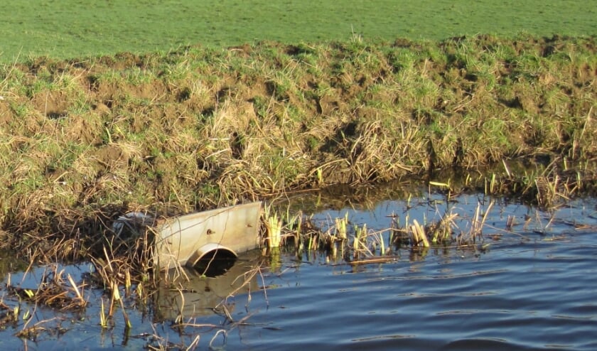 Trapschade ontstaat als bijvoorbeeld grootvee op een dijk loopt.