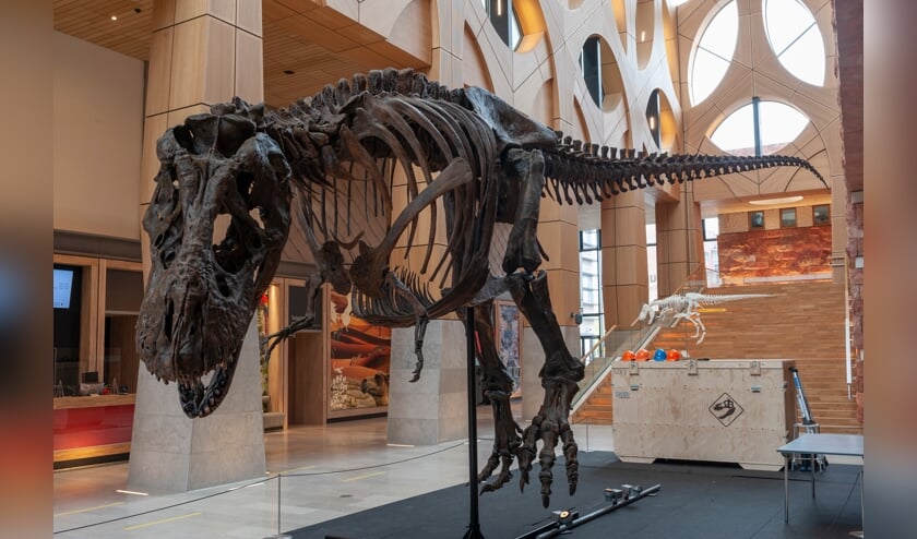 <p>Ook het Leidse museum Naturalis is partner van Verwonder om de hoek. Naturalis is de winnaar van de European Museum of the Year Award 2021.</p>