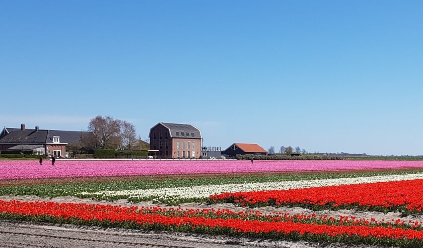 <p>De velden aan de Wasbeeklaan. </p>