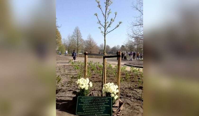 <p>Het Rien van Nunen-plantsoen. | Foto: Marca Bultink.</p>